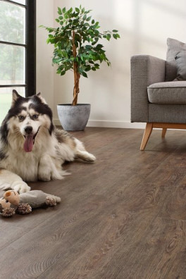 CoreTec Jasper Oak 01 The Essentials 1500 Series