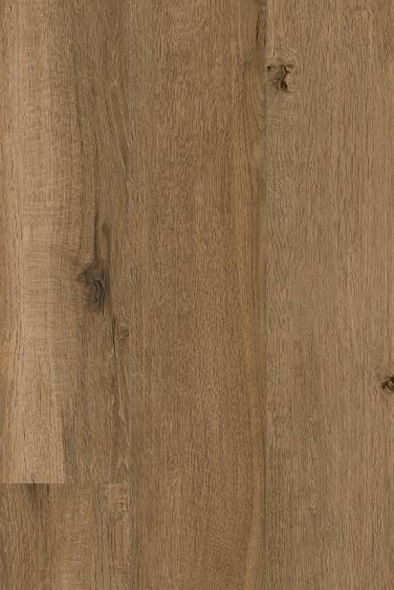 CoreTec Windsor XL-END CoreTec Windsor XL-END