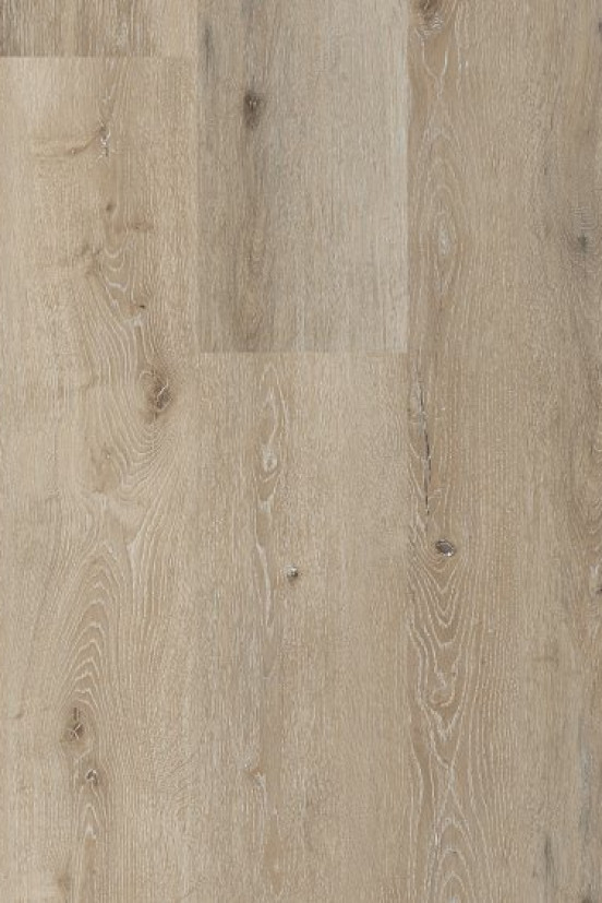 CoreTec Noble Oak 14 SurPlus CoreTec Noble Oak 14 SurPlus