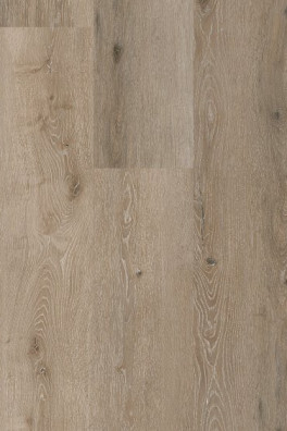 CoreTec Noble Oak 55 SurPlus CoreTec Noble Oak 55 SurPlus