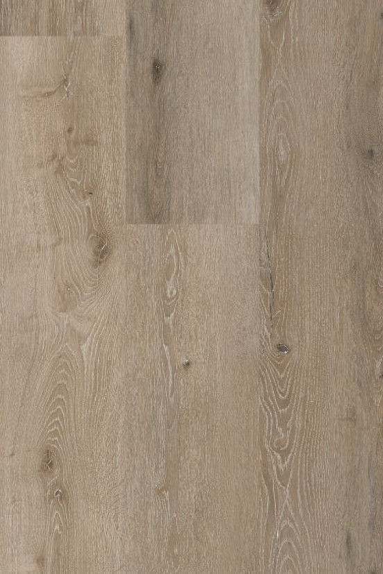 CoreTec Noble Oak 55 SurPlus CoreTec Noble Oak 55 SurPlus