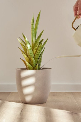 CoreTec Forest Naturals 1200 Series