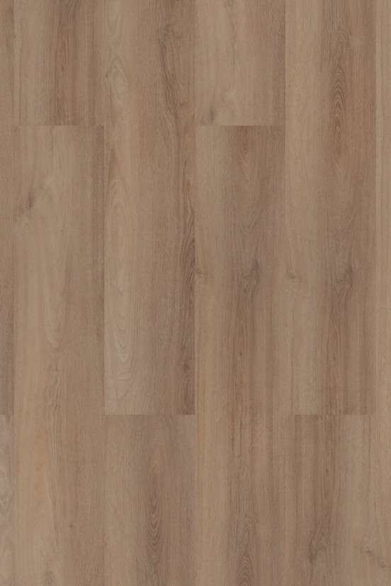 Room 5 Superior Beige Click Room 5 Superior Beige Click