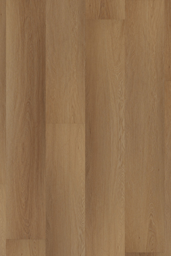 Room 5 Western Hemlock Click Room 5 Western Hemlock Click