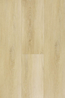 TFD XL Planken At Home 7