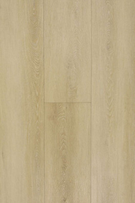 TFD XL Planken At Home 12