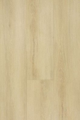 TFD XL Planken At Home 19