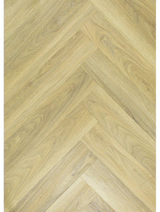 TFD Ossis R05 TFD Ossis R05
