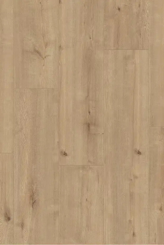 Beautifloor West-Vlaanderen Fortem 400107321 Beautifloor West-Vlaanderen Fortem 400107321