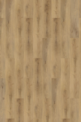 Mflor Colton Alyssa 62323