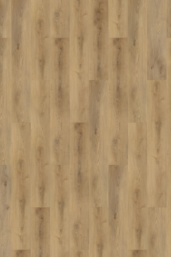 Mflor Colton Alyssa 62323 Mflor Colton Alyssa 62323