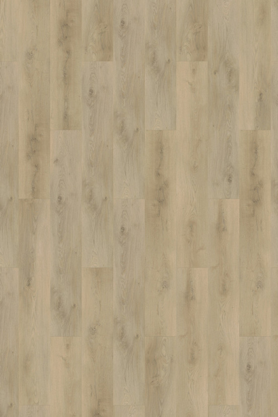 Mflor Colton Damian 62331 Mflor Colton Damian 62331