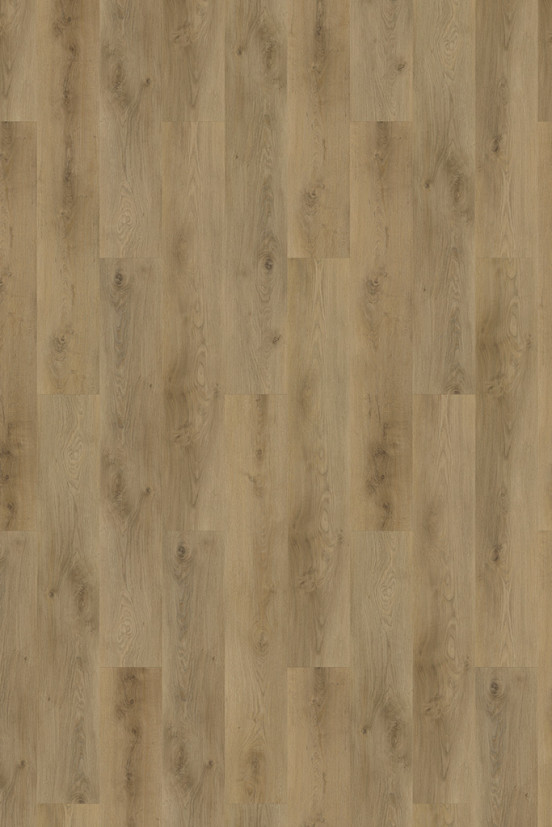 Mflor Colton Julianne 62333 Mflor Colton Julianne 62333
