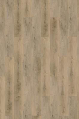 Mflor Colton Michelle 62334