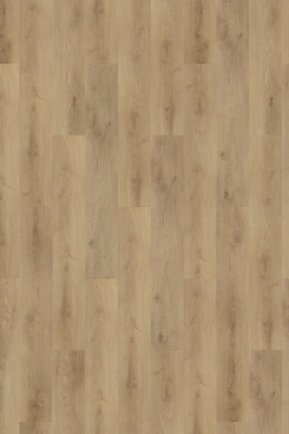 Mflor Colton Tyler 62336