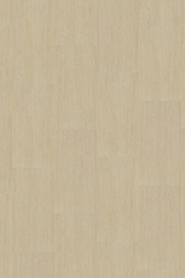 Mflor Abruzzo Velia 60222 Mflor Abruzzo Velia 60222
