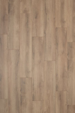 Gelasta Falco 3903 Sommer Eiche Natur