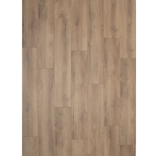 Gelasta Falco 3903 Sommer Eiche Natur