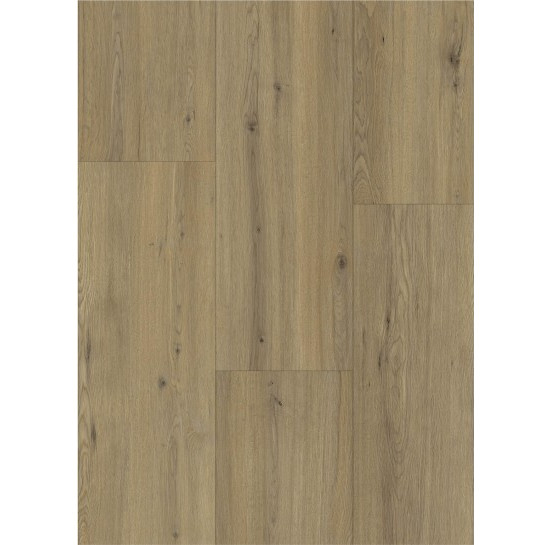 Gelasta Maestro 80631 Disentis Oak