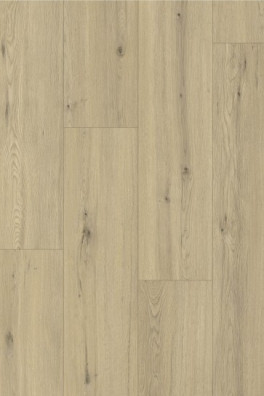 Gelasta Maestro 80641 Chur Oak