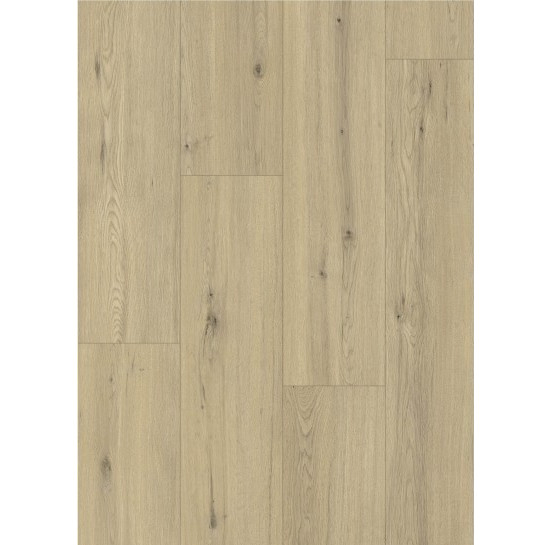 Gelasta Maestro 80641 Chur Oak