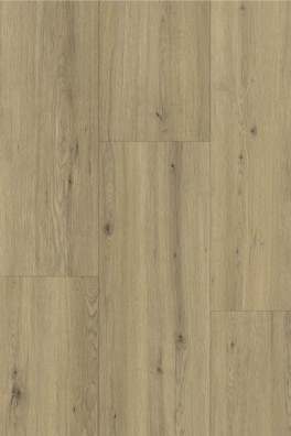 Gelasta Maestro 80651 Tasmins Oak