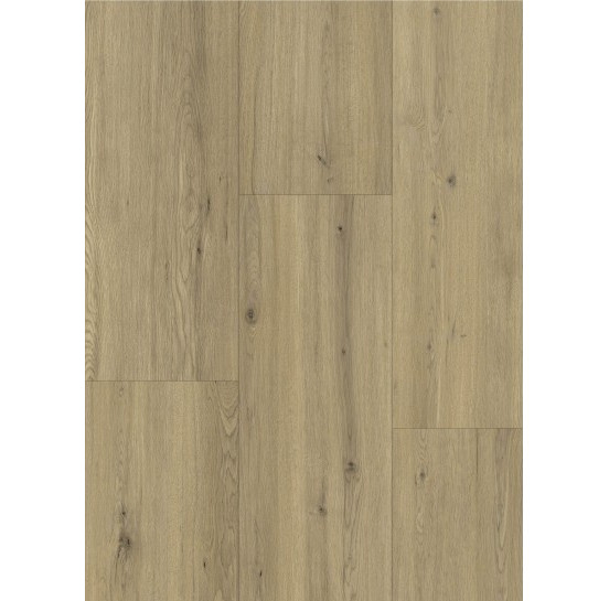 Gelasta Maestro 80651 Tasmins Oak Gelasta Maestro 80651 Tasmins Oak