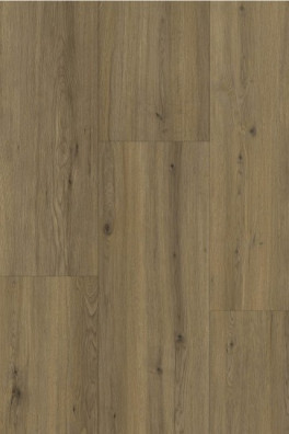 Gelasta Maestro 80661 Realp Oak