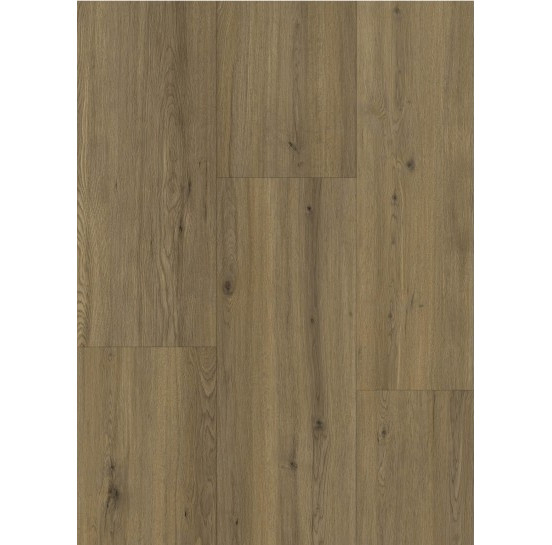 Gelasta Maestro 80661 Realp Oak Gelasta Maestro 80661 Realp Oak