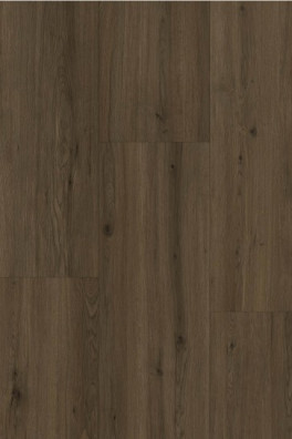 Gelasta Maestro 80671 Sedrun Oak