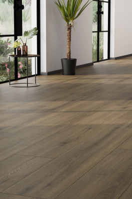 Gelasta Maestro 80671 Sedrun Oak Gelasta Maestro 80671 Sedrun Oak
