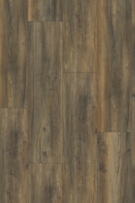 Gelasta Mammoet 3570 Harbour Oak