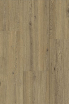 Gelasta Momento 80631 Disentis Oak