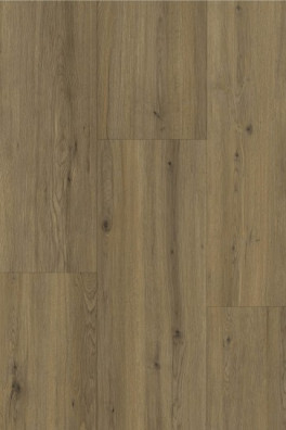 Gelasta Momento 80661 Realp Oak