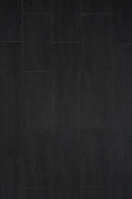 Gelasta Tayra 2869 Senia