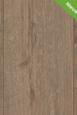 Gelasta 2192 Dark Turin Oak