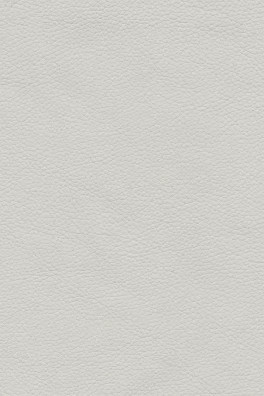 Wandpaneel Luxe Leer, Crema Leather