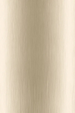 Wandpaneel Metal Look, Champagne Goud