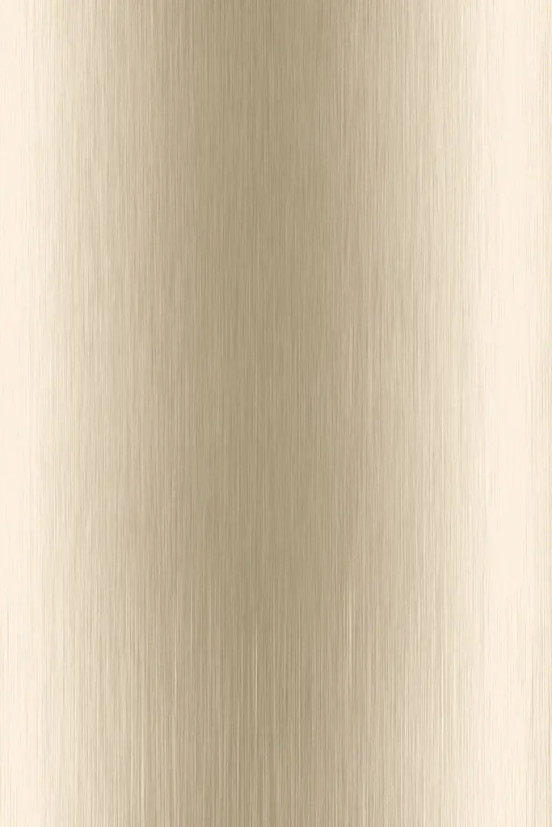 Wandpaneel Metal Look, Champagne Goud Wandpaneel Metal Look, Champagne Goud