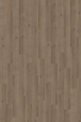 Belakos Attico 840 | Rigid Click