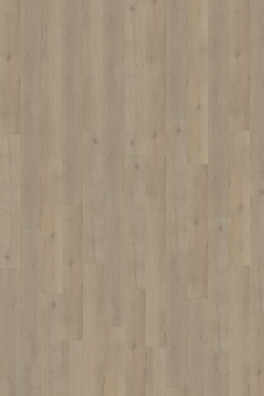 Belakos Attico 850 | Rigid Click