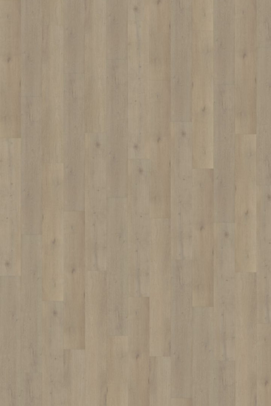 Belakos Attico 850 | Rigid Click Belakos Attico 850 | Rigid Click