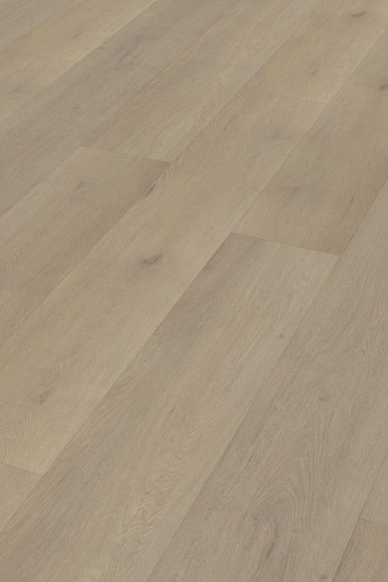 Belakos Attico 850 | Rigid Click Belakos Attico 850 | Rigid Click