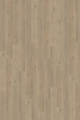 Belakos Attico 860 | Rigid Click