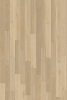 Belakos Borgo 310