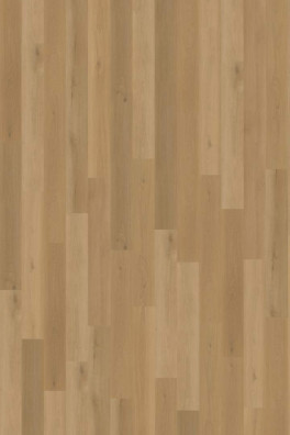 Belakos Borgo 320