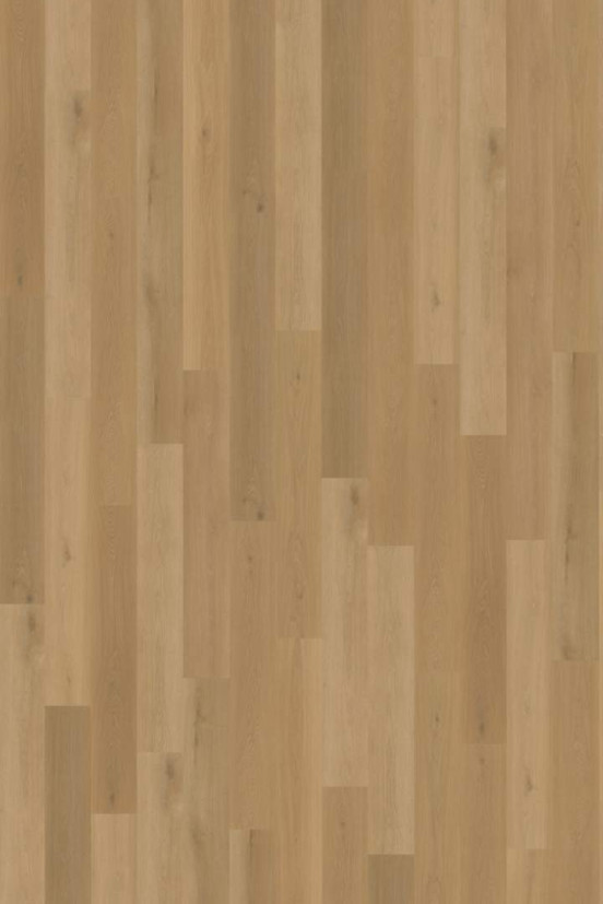Belakos Borgo 320