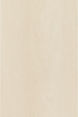 Enviro PVC Nature plank C001