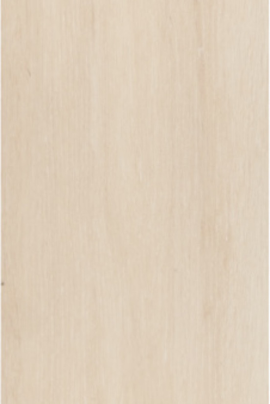 Enviro PVC Nature plank C003 Enviro PVC Nature plank C003