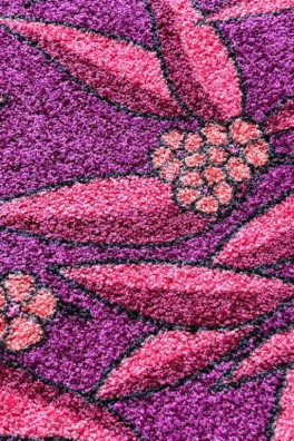 Bush Pink Bush Pink